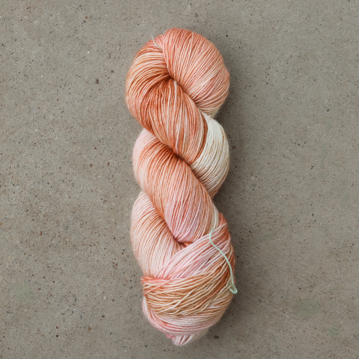 Pashmina | Creamsicle Kitties