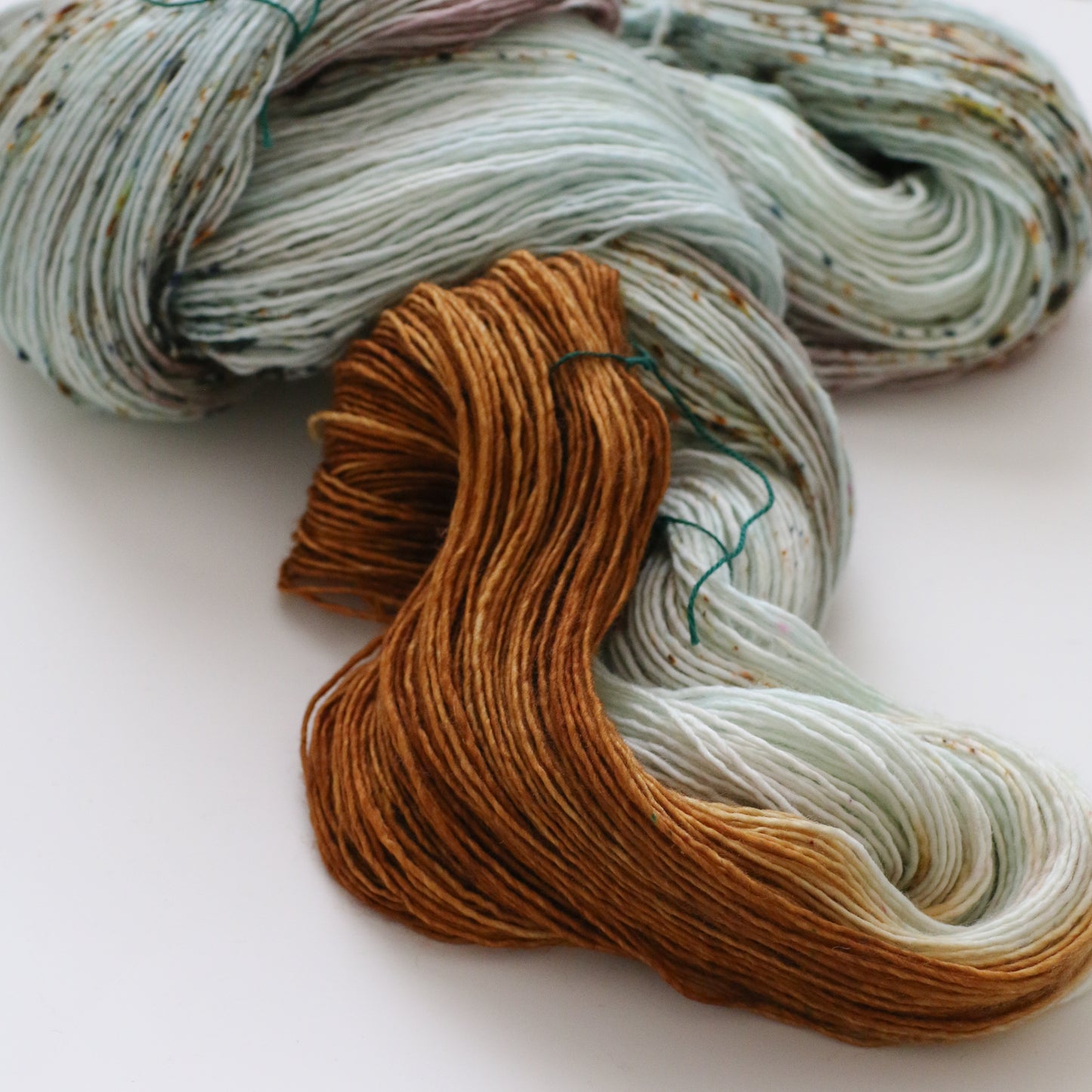 Twist Light | Chicken of the Woods