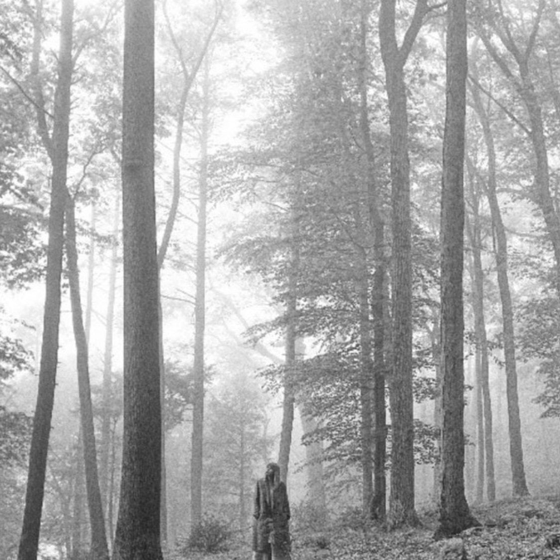 Twist Light | Cardigan