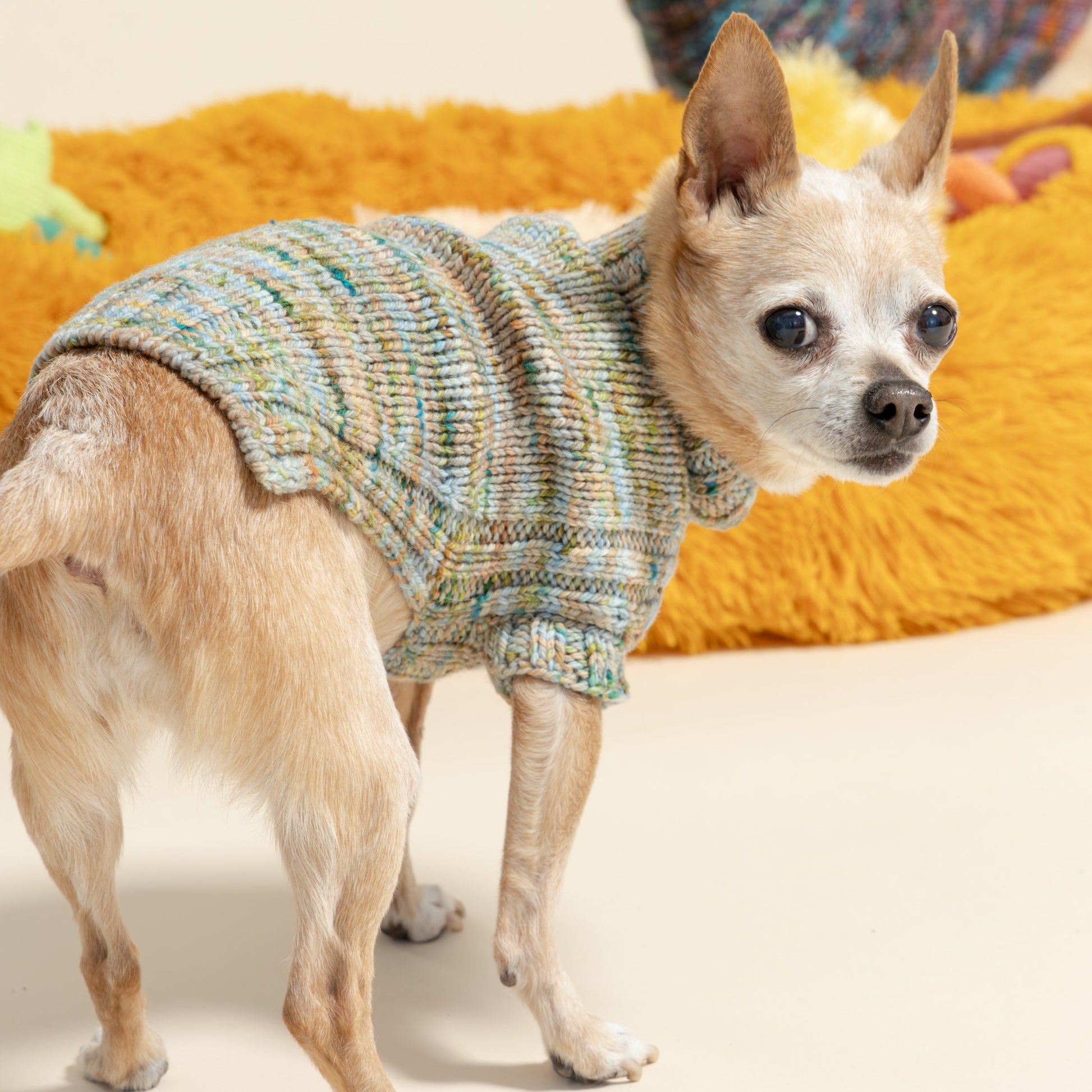 dog dress knitting pattern DOG DRESS Crochet Pattern (skill level advanced)