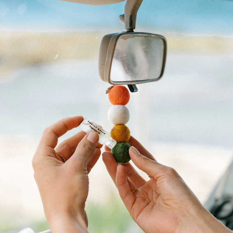 Smelly Balls | Reusable Air Freshener