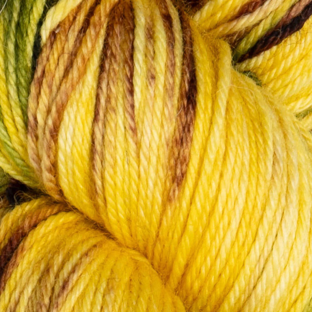 Woolcycle Sport | Debate Club